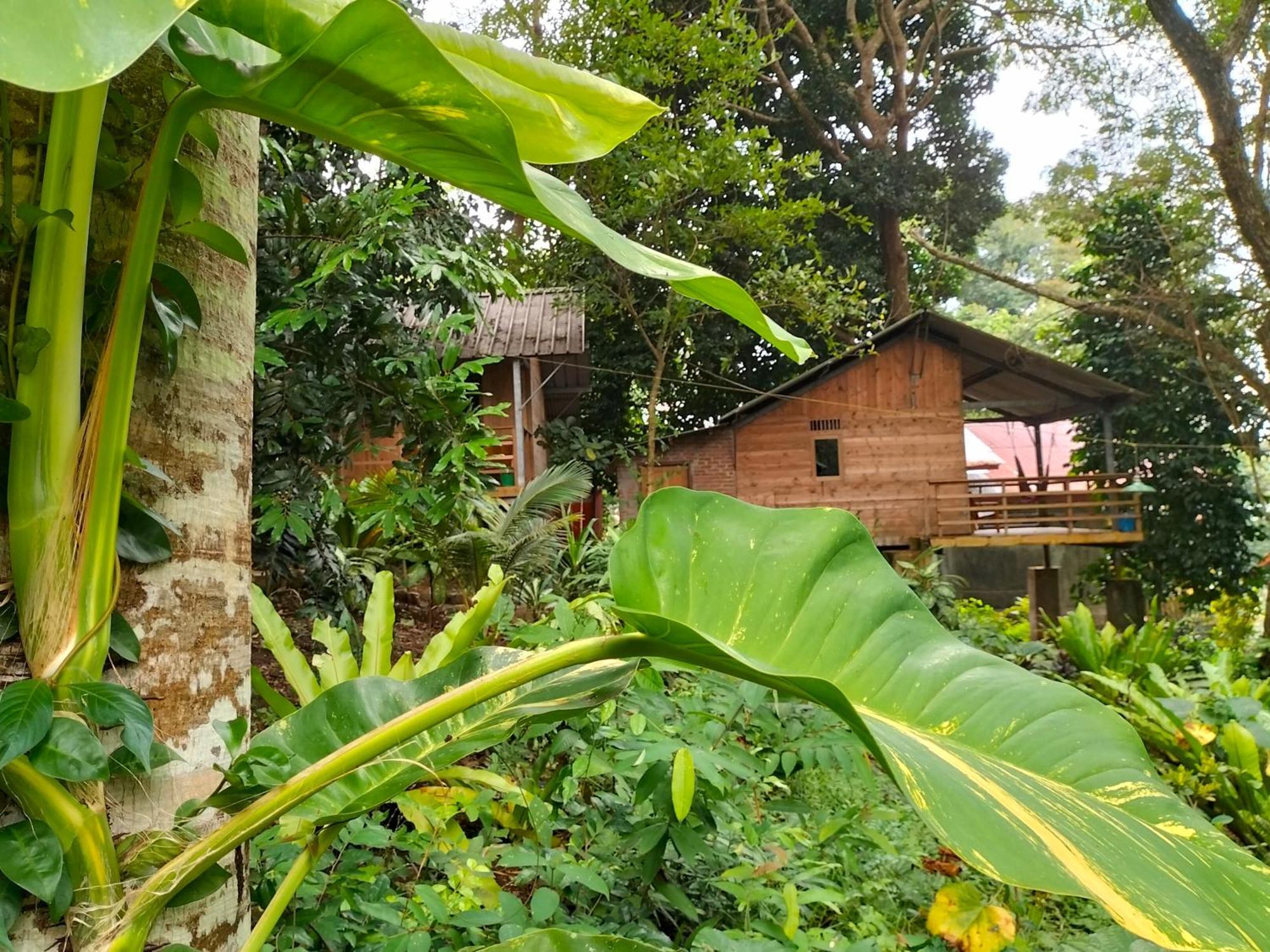 Santi Garden Bungalows Iboih Exteriér fotografie