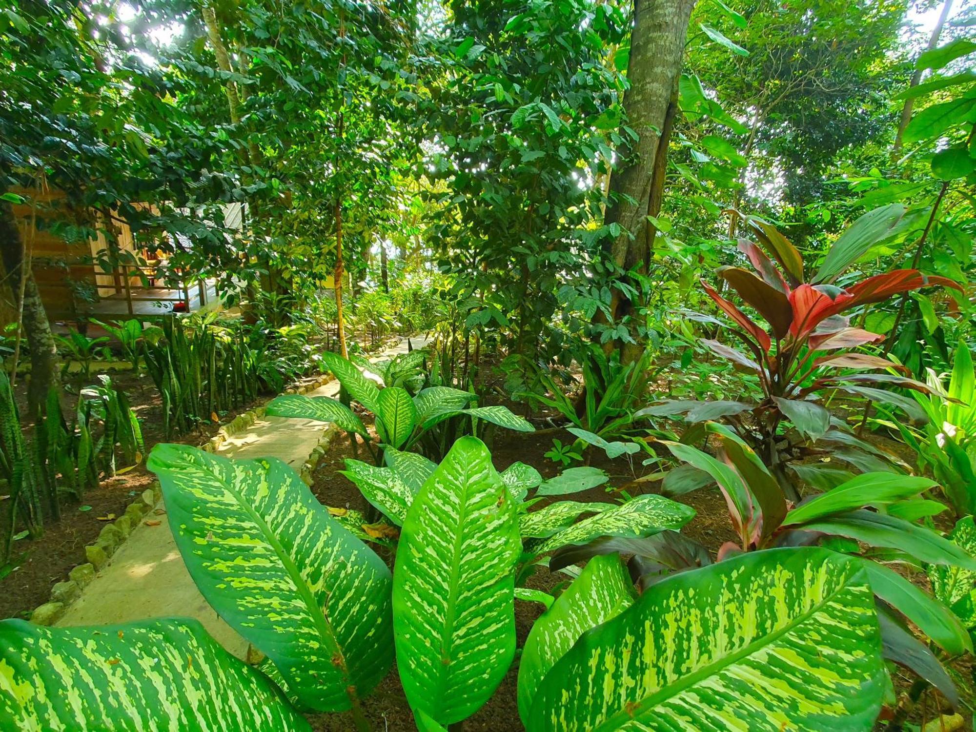 Santi Garden Bungalows Iboih Exteriér fotografie